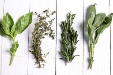 Different fresh herbs on white wooden table